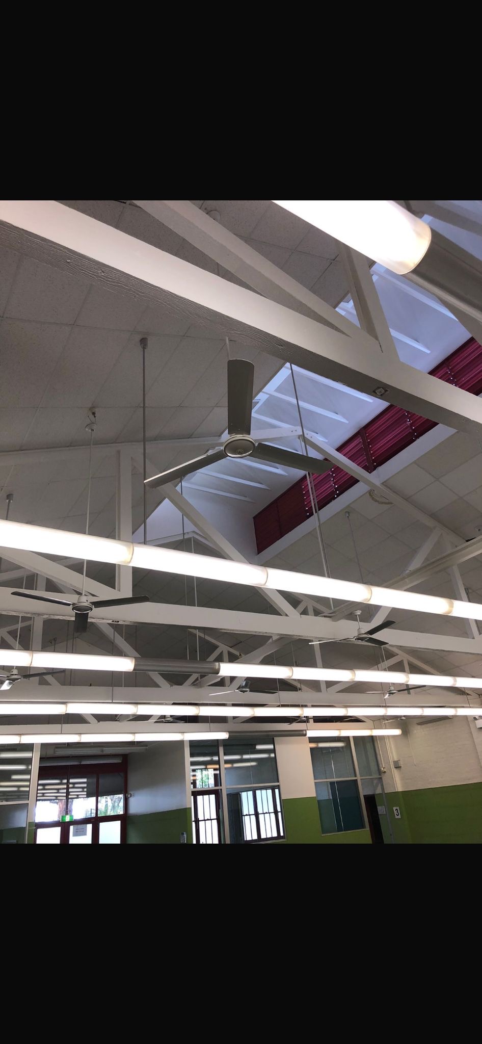 Plunkett St Public School - baa773de-e903-4e8d-ab7d-be763d975112.JPG